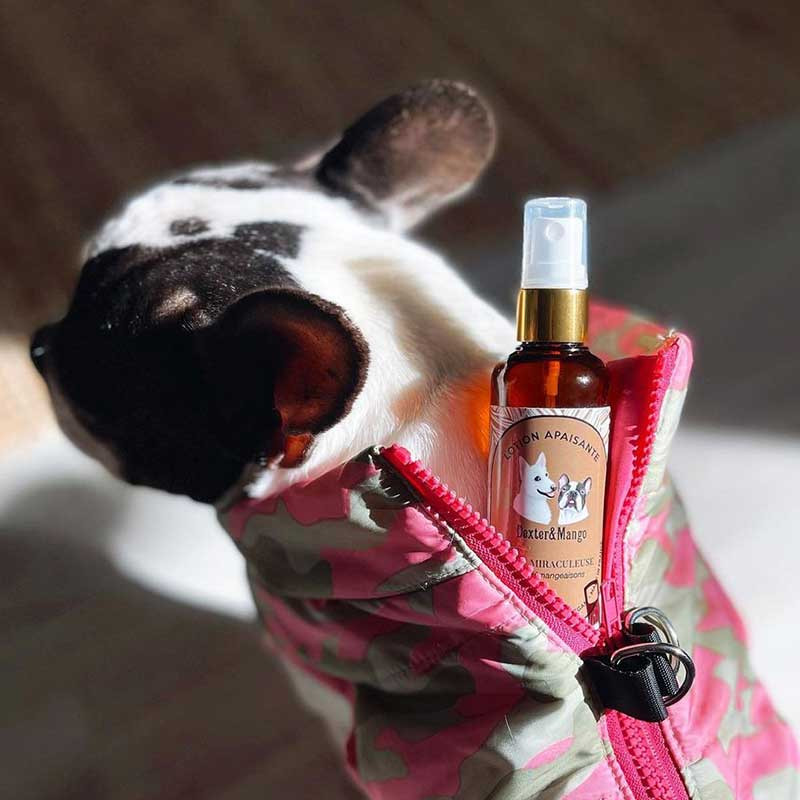 Lotion Apaisante pour Chien “L’eau Miraculeuse” Dexter & Mango