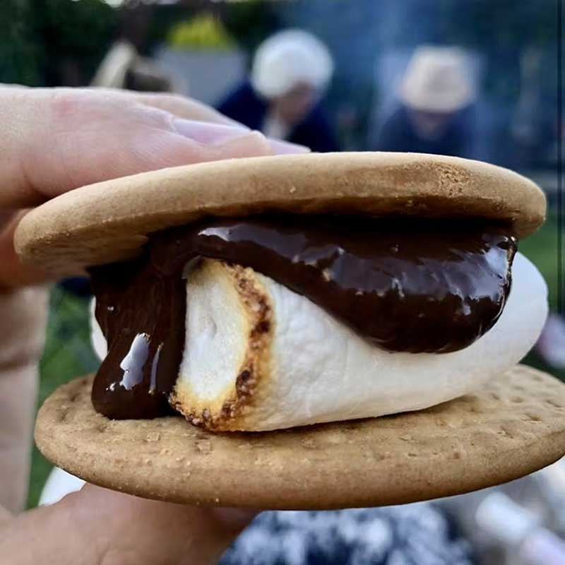 Vegantic marshmallows vegan vanille