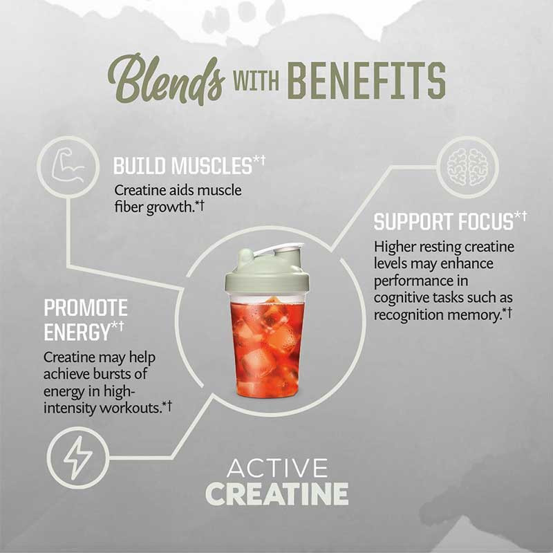 active creatine blend Sunwarrior