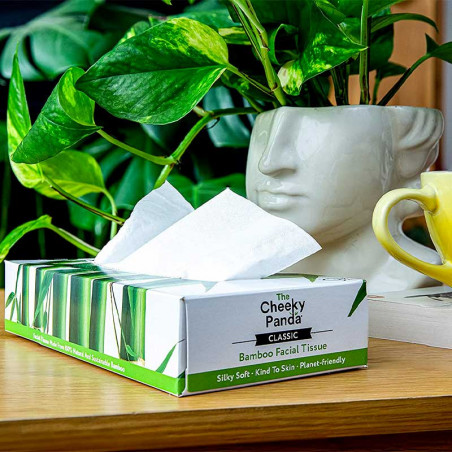 Boîtes à Mouchoirs Originales (2025