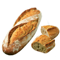 baguette camusette L Angelus