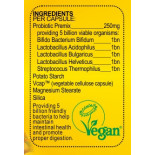 Multi Probiotic Veganicity Multi Probiotic Veganicity