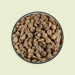 vegdog green crunch 2kg