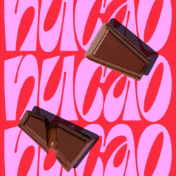 barre chocolat fourree aux noisettes nucao 33g