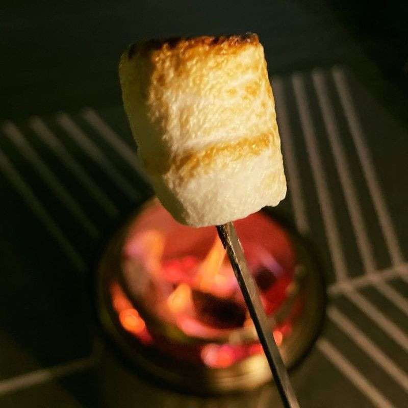 dandies marshmallow vegan sachet grand format 680g