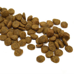 croquettes vegan ami dog 3kg - produit