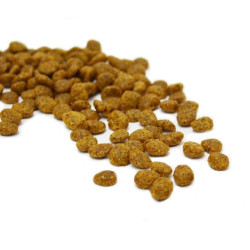 croquettes vegan ami pour petits chiens 1kg