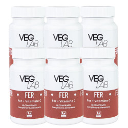 lot fer + vitamine c veglab x6