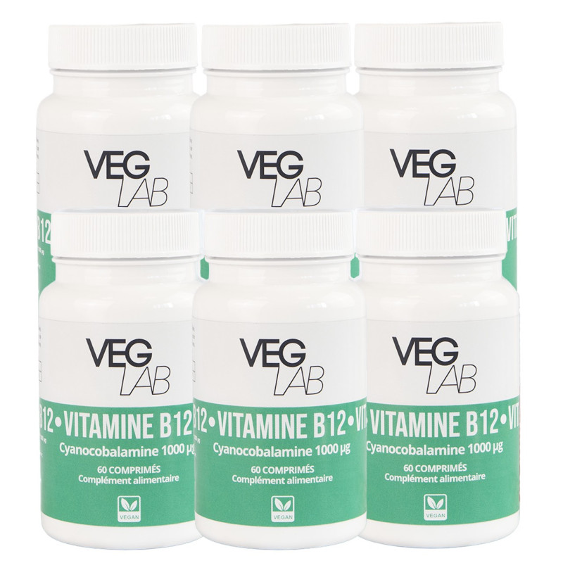 veglab lot de 6x B12