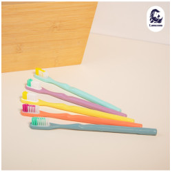 brosse a dent rechargeable lamazuna couleurs