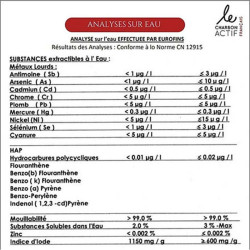 filtre à gourde au charbon végétal le charbon actif français x4