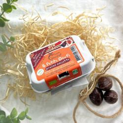 boite 6 oeufs de pâques chocolat praline façon chocolat 55g