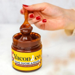 yacon & co pate a tartiner sans sucre cacao noisette