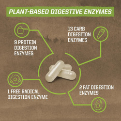Enzorb - enzymes digestives - Sunwarrior certifications 2