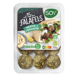 falafels Soy menthe coriandre