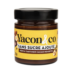 pate a tartiner cacao noisette yacon & co 200g