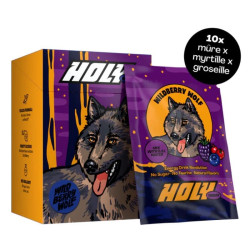 box holy energy wildberry wolf x10 sachets