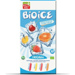 glaces a l'eau aux fruits bio ice x10