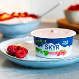 sky vegetal framboise sojade 2