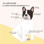 dexter et mango creme solaire pour chien et chat