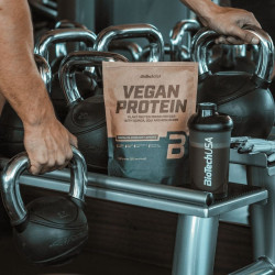 vegan protein biotech usa chocolate cinnamon