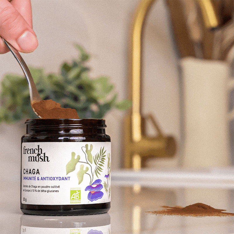 poudre chaga bio french mush