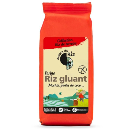 farine de riz gluant autour du riz