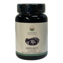 shilajit gelules ayurveda specialist x60