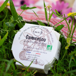 camenjou truffe V Gils