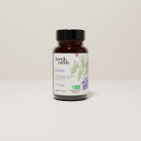 french mush gélules chaga bio