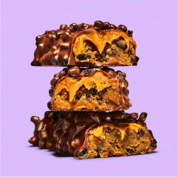 misfits protein bar - caramel fudge