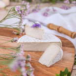 petit veganne petit alba pack gastro