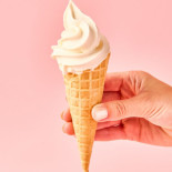 flora professional mix creme glacee vegan