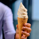 ice cream mix flora professional