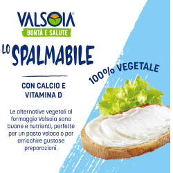 valsoia spalmabile