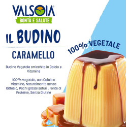 valsoia budino caramello