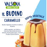 valsoia budino caramello