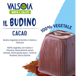 valsoia budino cacao