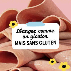 jambon vegan sans gluten la vie