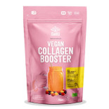 smoothie booster collagene vegan iswari 100g