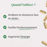 ashwagandha magnesium tryptophane argalys