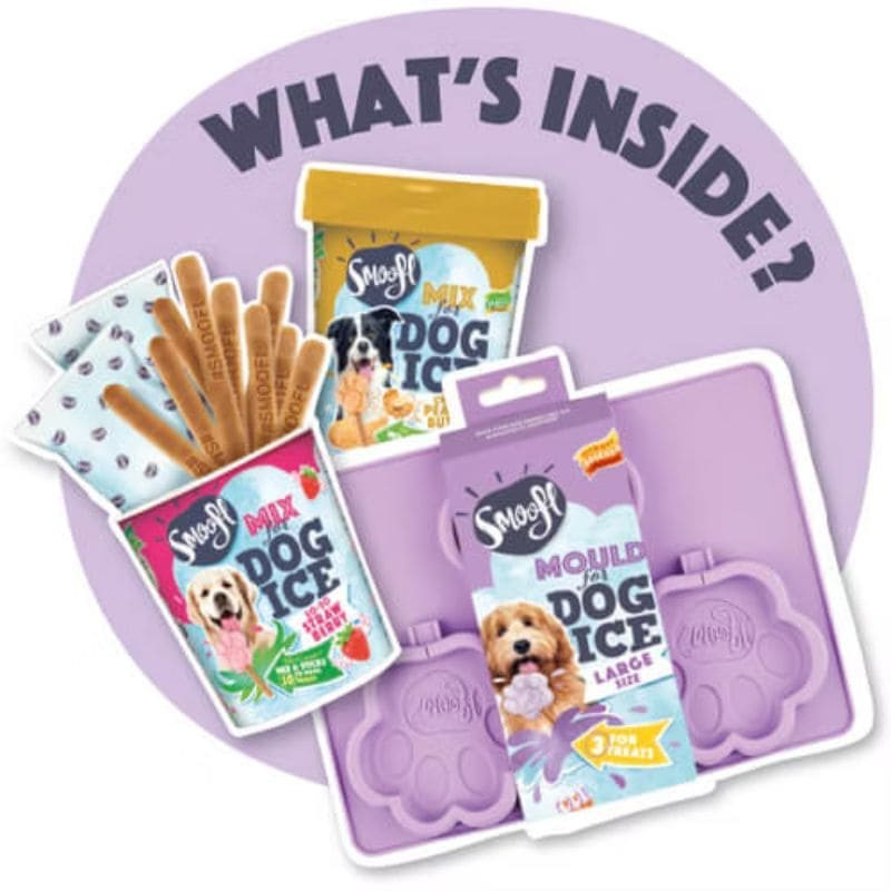 smoolf kit glace pour chien grand