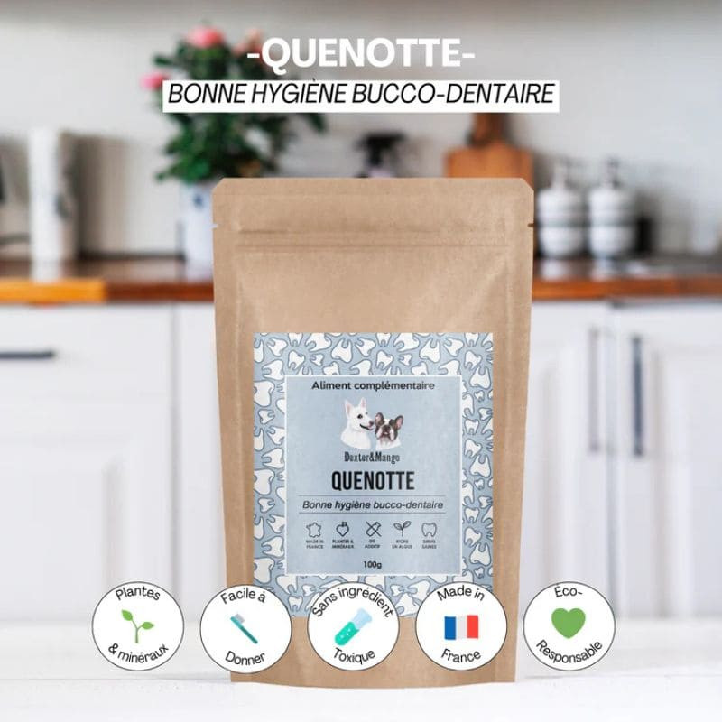 dexter et mango complement quenotte