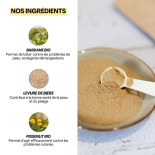 complement gratt'ouille dexter et mango complement gratt'ouille dexter et mango