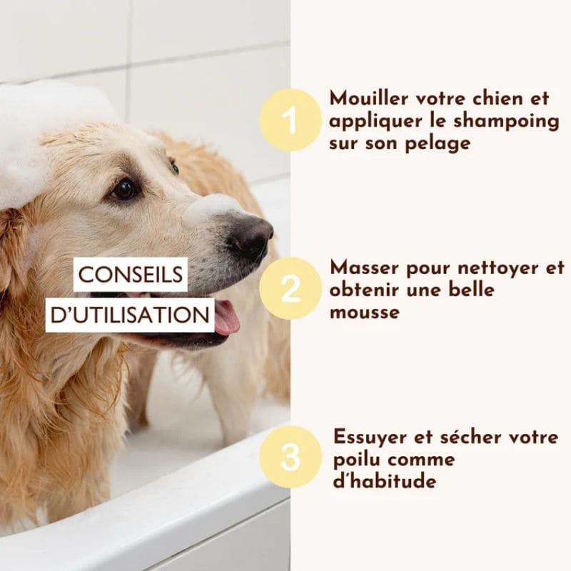 dexter et mango shampoing liquide poils de velours