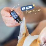 dexter et mango roll on anti stress elixir panic'paw