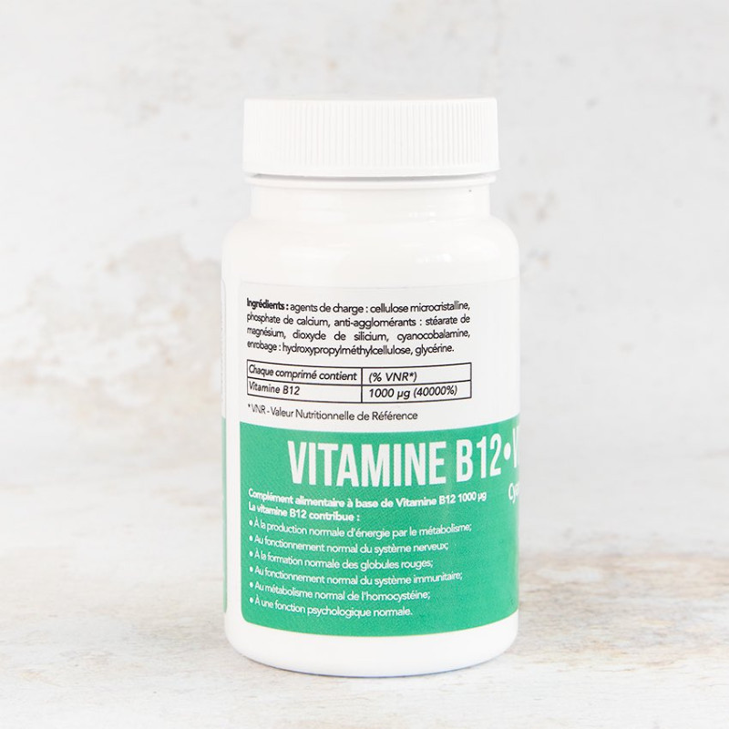 veglab b12 side 2