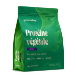 protéine végétale greenwhey myrtille 900g
