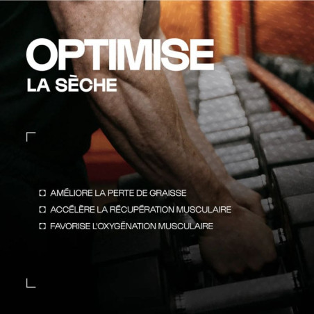 L-Carnitine Carnipure® NUTRIMUSCLE