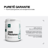 zmb pidolates nutrimuscle